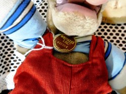 wrinkles dog red cord tag